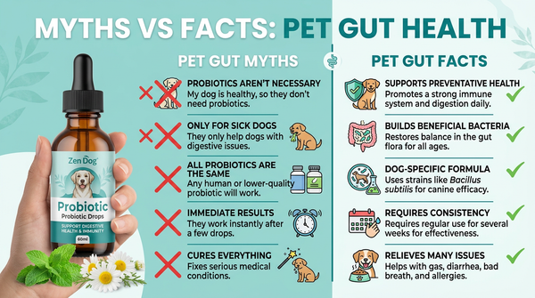 zen dog myths facts roadmap 20260308 165851